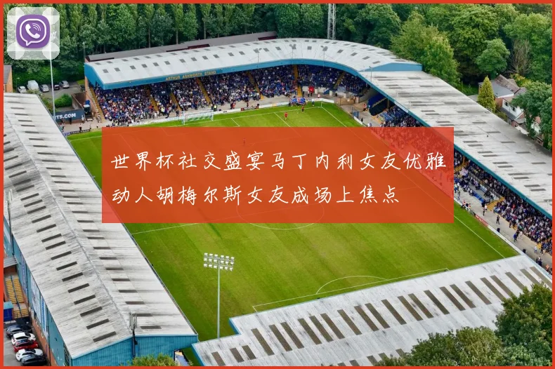 世界杯社交盛宴马丁内利女友优雅动人胡梅尔斯女友成场上焦点